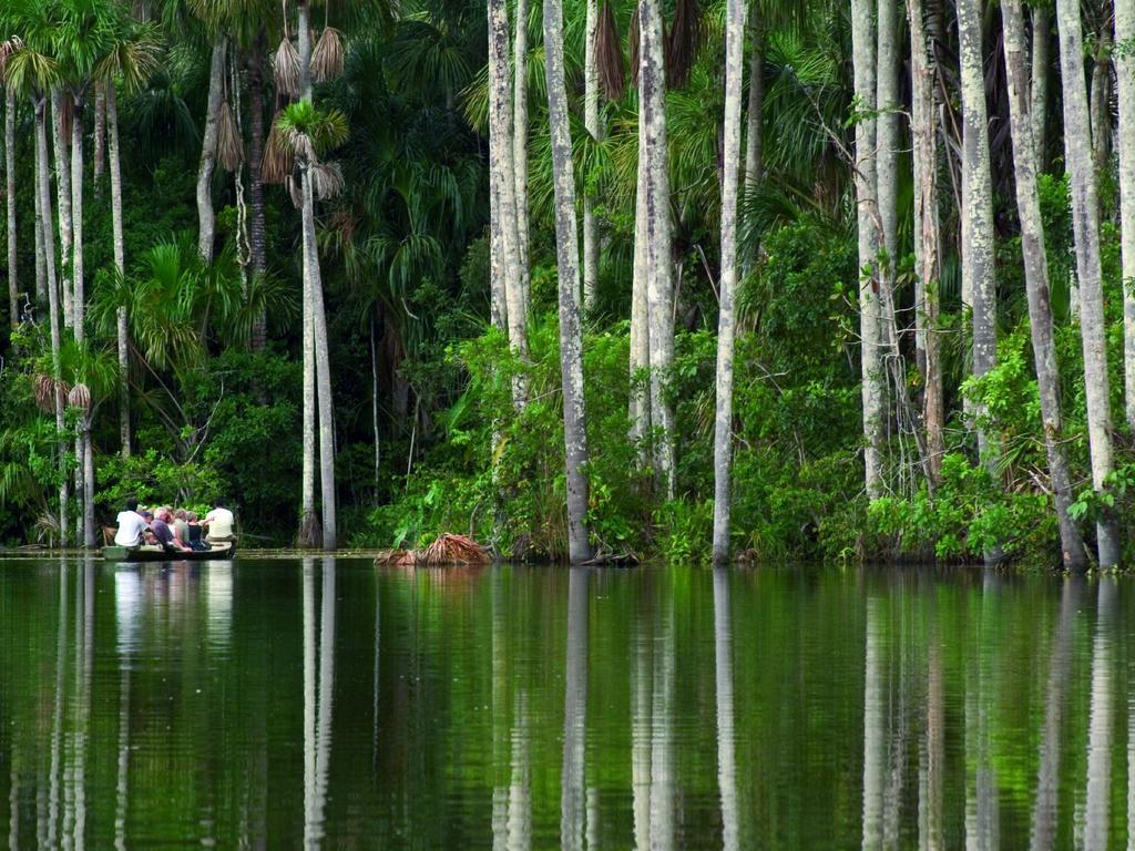 Inkaterra Reserva Amazonica Puerto Maldonado Eksteriør billede