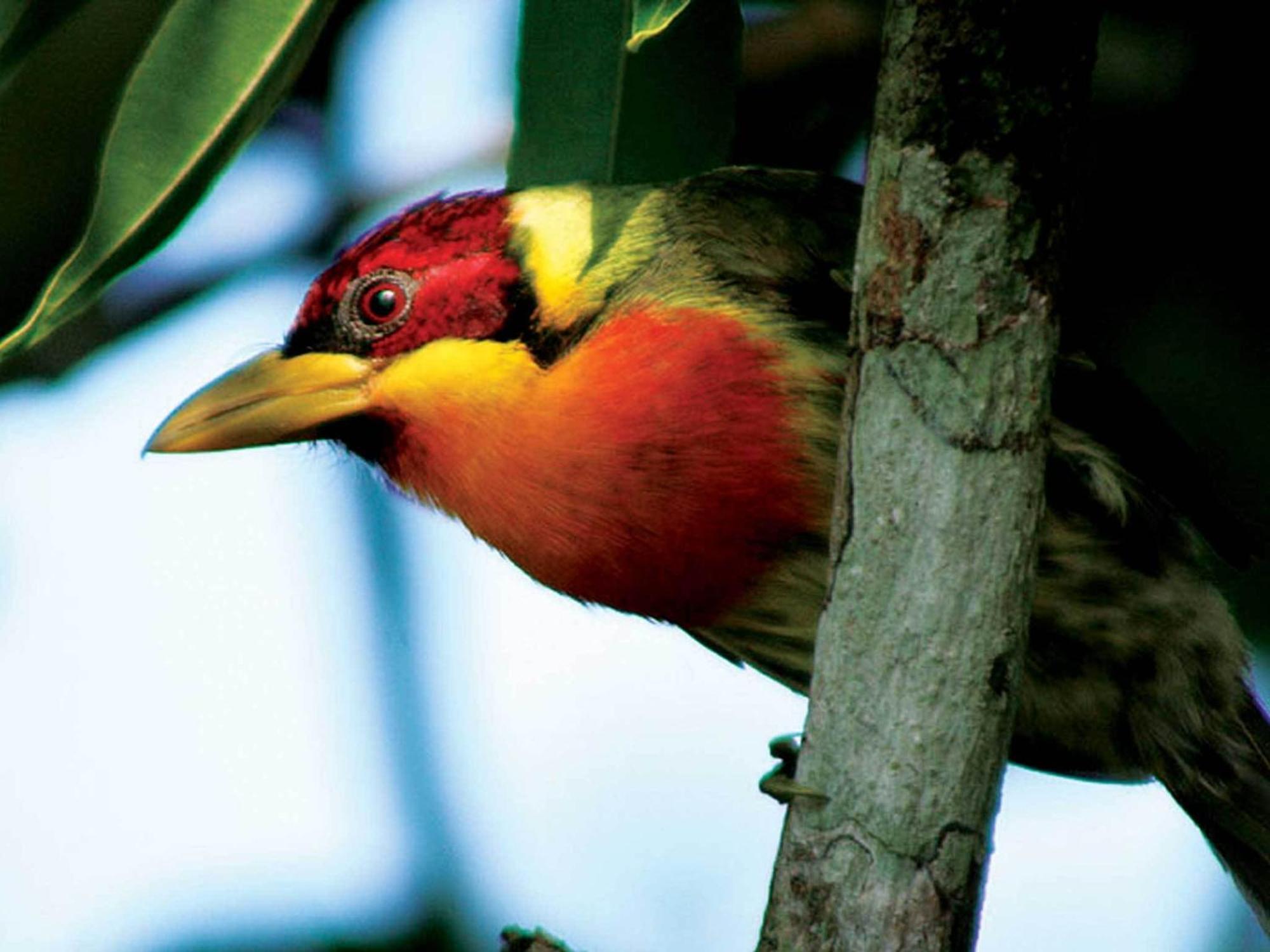 Inkaterra Reserva Amazonica Puerto Maldonado Eksteriør billede