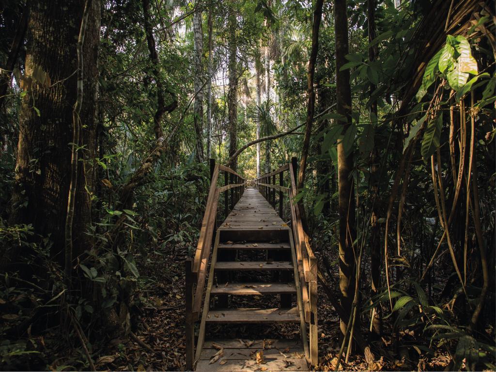 Inkaterra Reserva Amazonica Puerto Maldonado Eksteriør billede