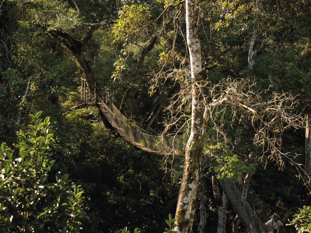 Inkaterra Reserva Amazonica Puerto Maldonado Eksteriør billede