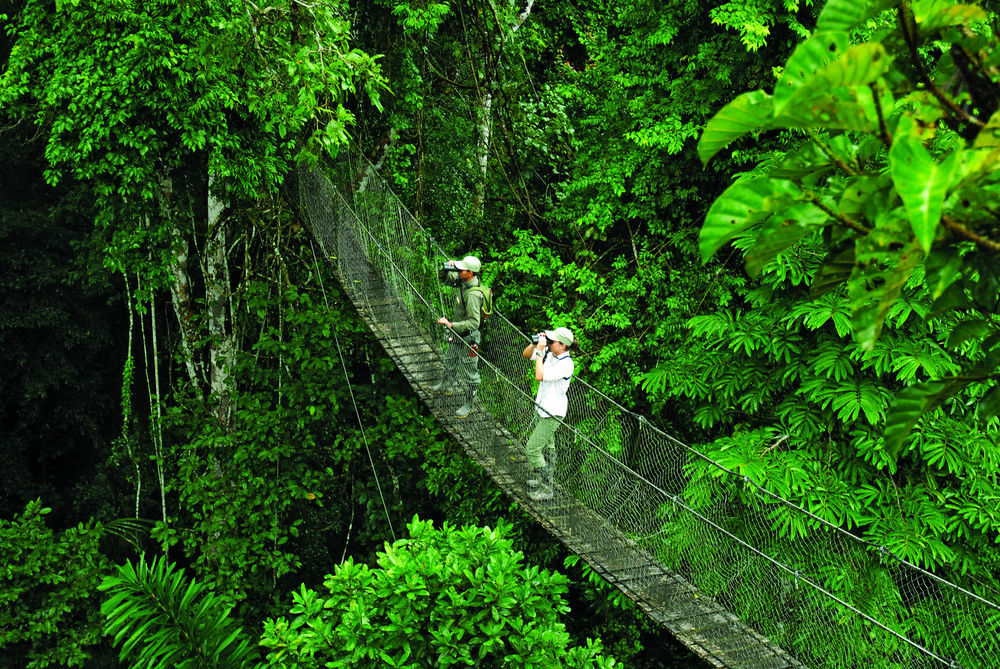 Inkaterra Reserva Amazonica Puerto Maldonado Eksteriør billede